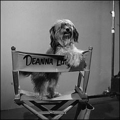 Who's been sitting in my chair?