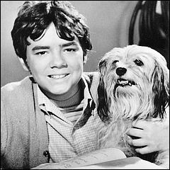 Stefan Arngrim and Chipper