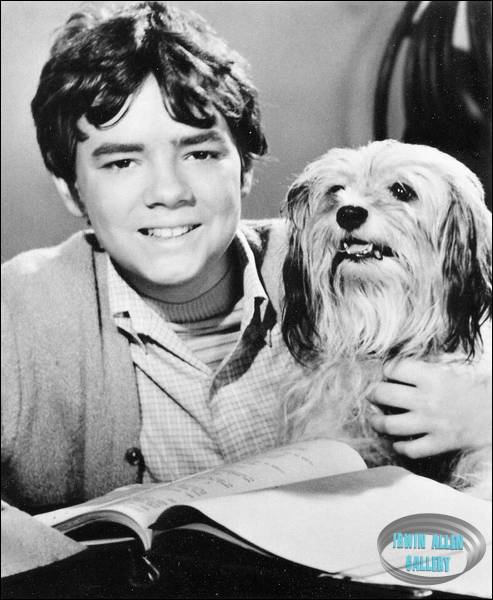 Stefan Arngrim and Chipper
