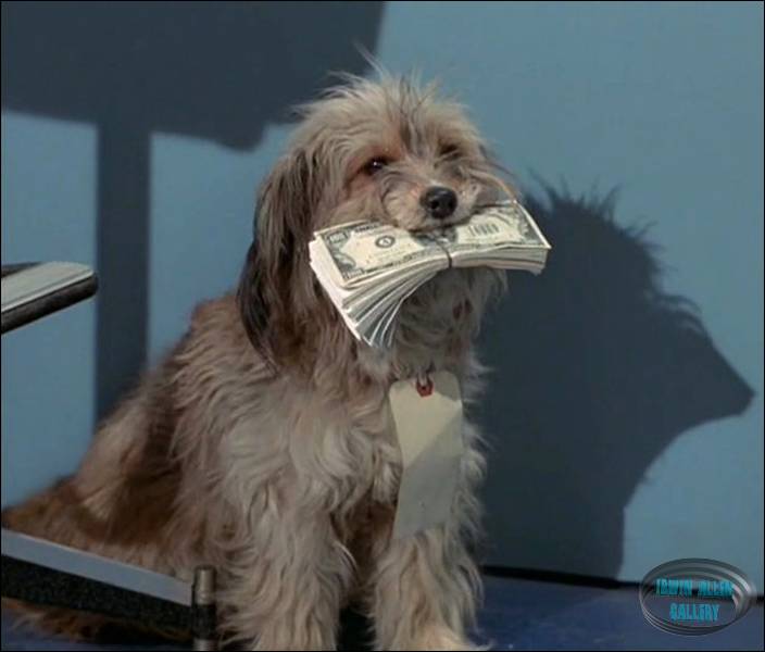 Chipper has the money