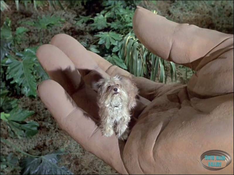 Chipper in Seven Little Indians