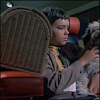 Stefan Arngrim and Chipper