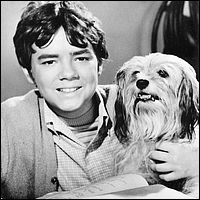 Stefan Arngrim and Chipper