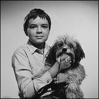 Stefan Arngrim and Chipper