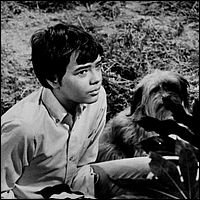 Stefan Arngrim and Chipper