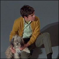 Chipper with Stefan Arngrim