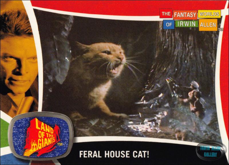 Fantasy Worlds Card Front #85