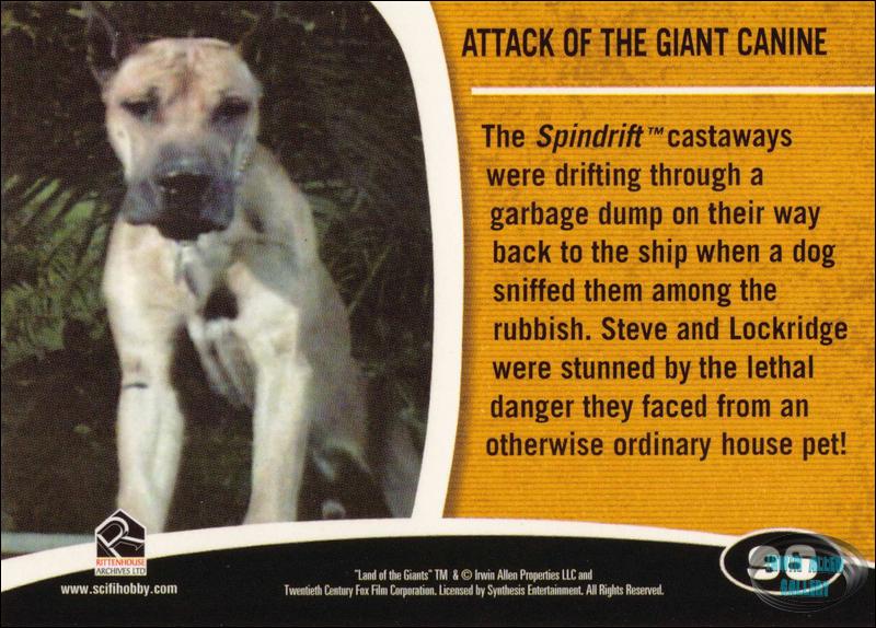 Fantasy Worlds Card Back #96