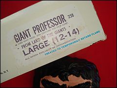 Giant Professor Halloween Costume