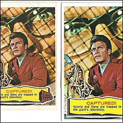 Topps Test Cards