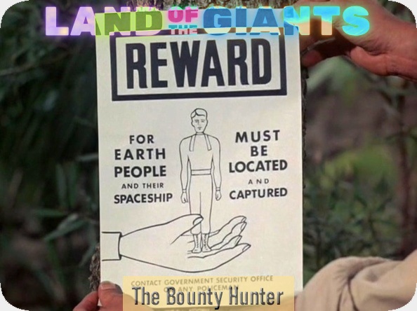 The Bounty Hunter
