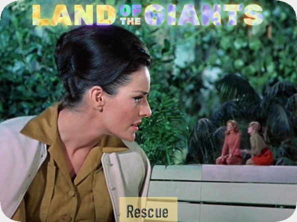 Rescue