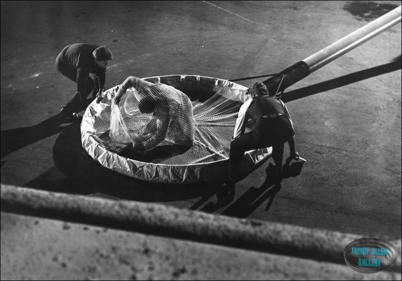 Don Marshall being rescued by Gary and Don