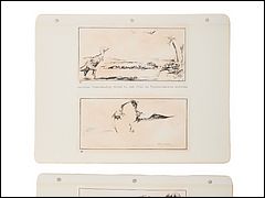 Animal World View-Masters and Ephemera