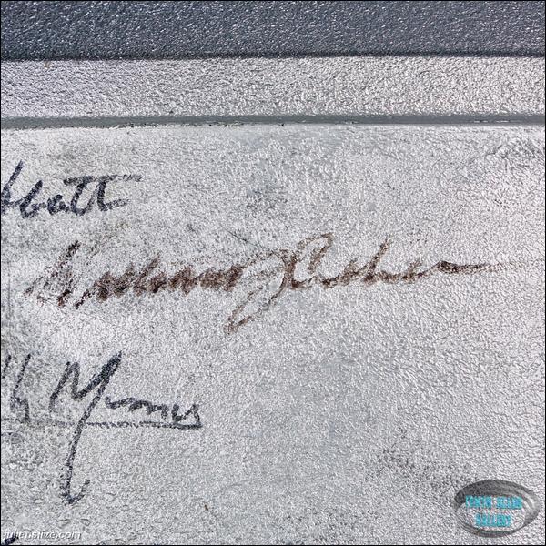 Original Full Size B-9 Stunt Robot