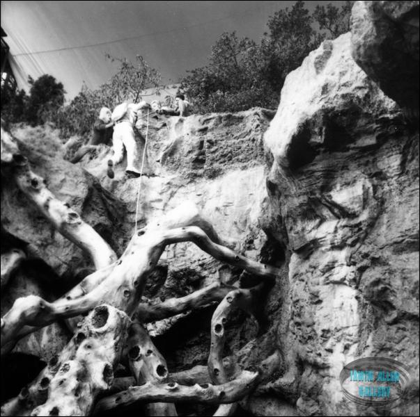 Filming John Robinson Rescue