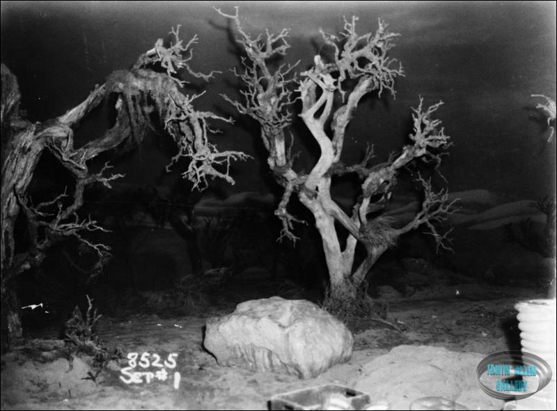 Space Croppers Set Photo #1