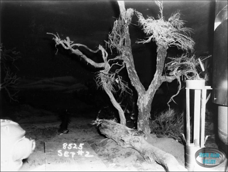 Space Croppers Set Photo #2