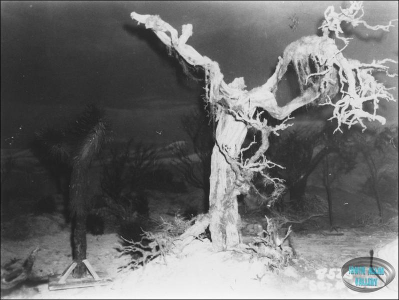 Space Croppers Set Photo #3