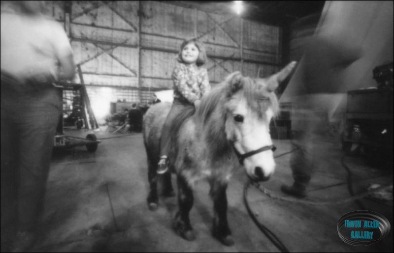Girl riding the unicorn