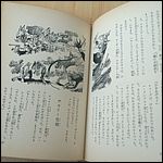 Japanese Lost in Space Novel