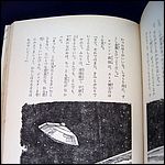 Lost in Space Japanese Hardback