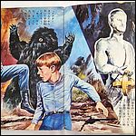 Japanese Lost in Space Record Book