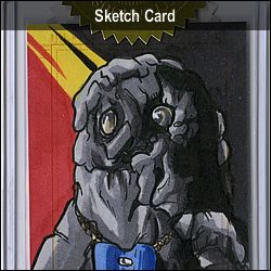 Sketch Card