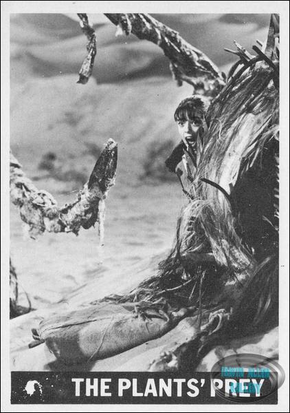 Lost in Space Topps #39