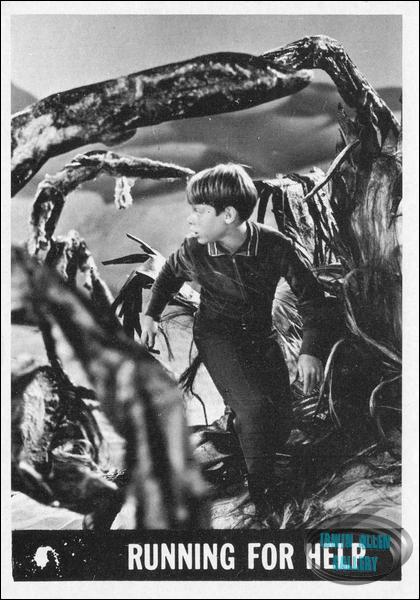 Lost in Space Topps #42