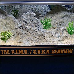 24 inch Monsters in Motion Seaview Build