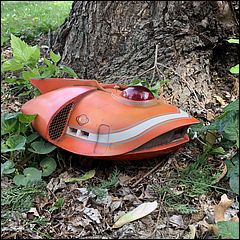 16.5" Spindrift Build in Forest