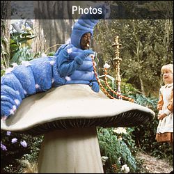 Photos
