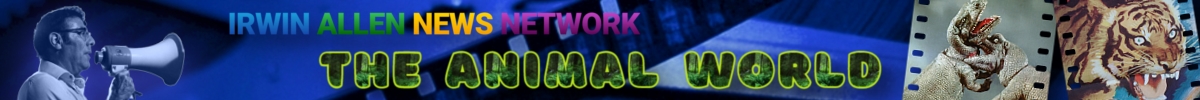 Irwin Allen News Network