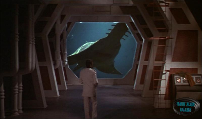 Marine Research Center