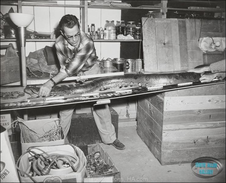 Lost World Prop Workshop