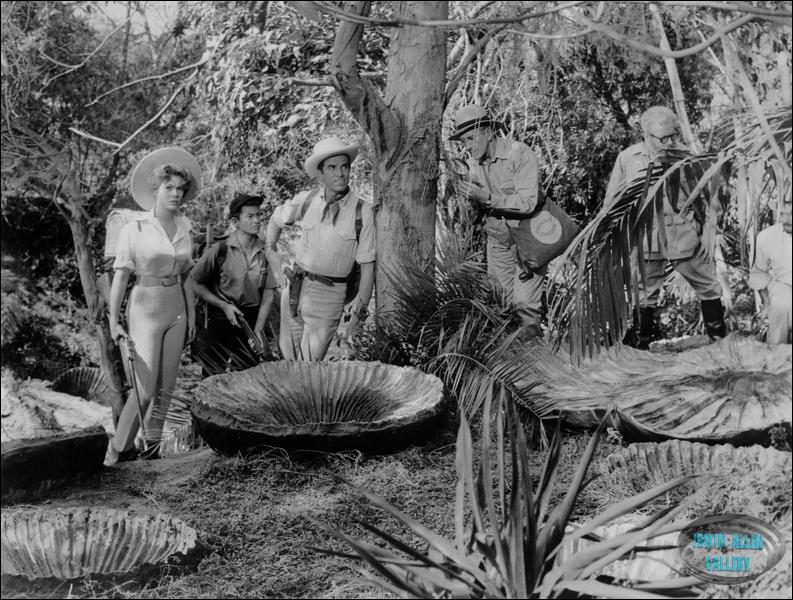 Jill St. John, Ray Stricklyn, Fernando Lamas, Richard Haydn and Claude Rains