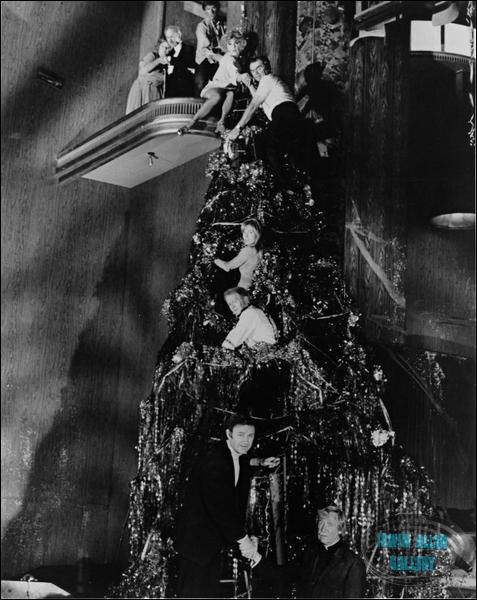 Climbing the Christmas Tree