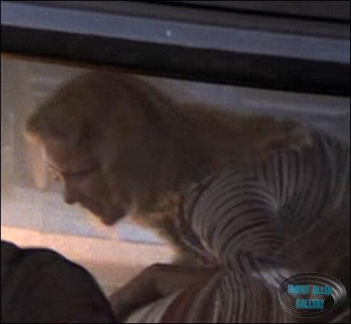 Marneen Fields - Female Train Passenger