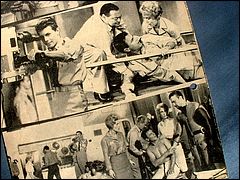German Cinema Programme