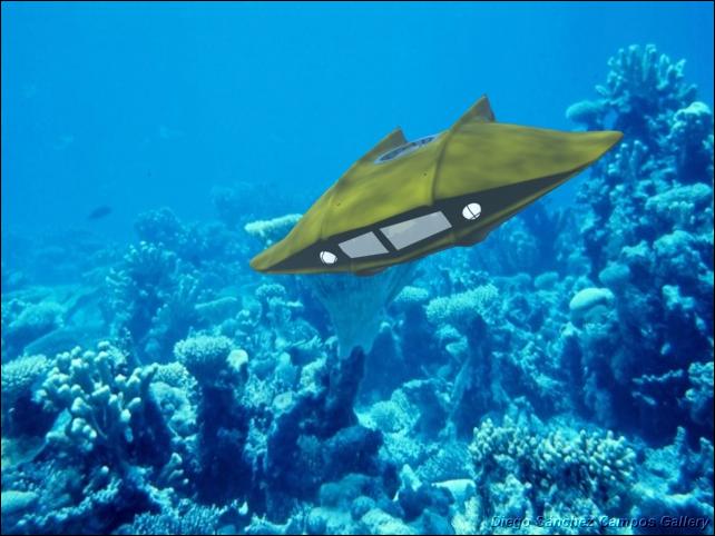 The Flying Sub