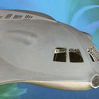 17'3" Seaview Miniature