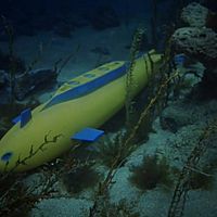 Yellow Missile Sub