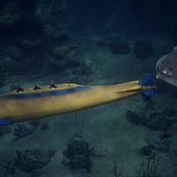 Yellow Missile Sub and the Seaview