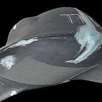 4 Window Seaview Prototype