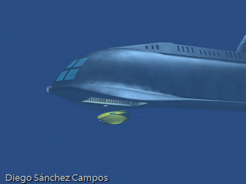 The Flying Sub
