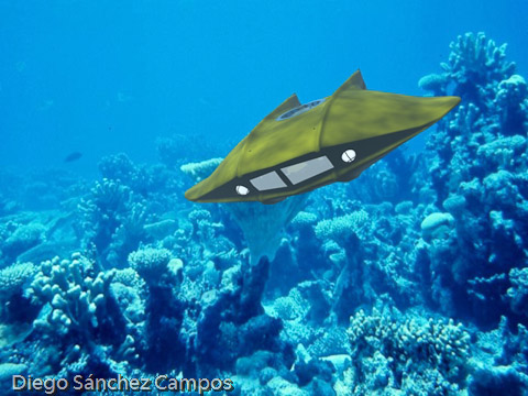 The Flying Sub